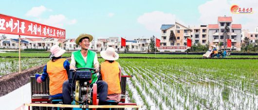 북한 노동당 기관지 노동신문은 지난달 25일 "모내기를 제철에 질적으로 끝내자"고 주민들을 독려하는 선전선동의 내용을 담아 보도했다. 노동신문 캡처