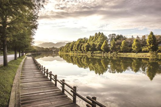 전남도가 최근 MZ세대의 '엄마 카카오톡 프사(프로필 사진) 바꿔드리기' 트렌드를 반영해 '사진 남기기 좋은 명소'인 강진 작천 부흥마을, 담양 관방제림<사진>, 보성 윤제림, 화순 세량제 등 4곳을 6월 추천 여행지로 선정했다. 전남도 제공