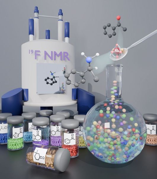 다기질 스크리닝 반응 수행과 불소 핵자기공명분광기 활용 개념도. KAIST 제공
