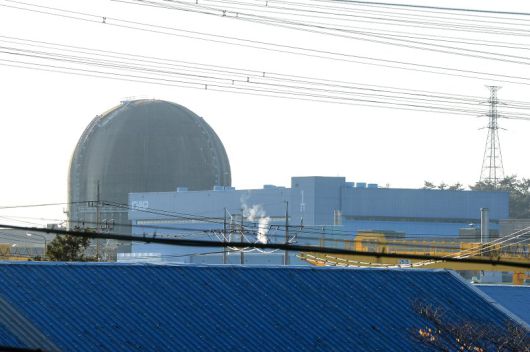 전남 영광 한빛원전. 뉴스1