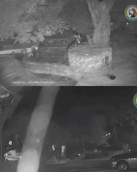 [뉴시스] CCTV 영상 갈무리 (사진=비글구조네트워크 인스타그램) *재판매 및 DB 금지 /사진=뉴시스