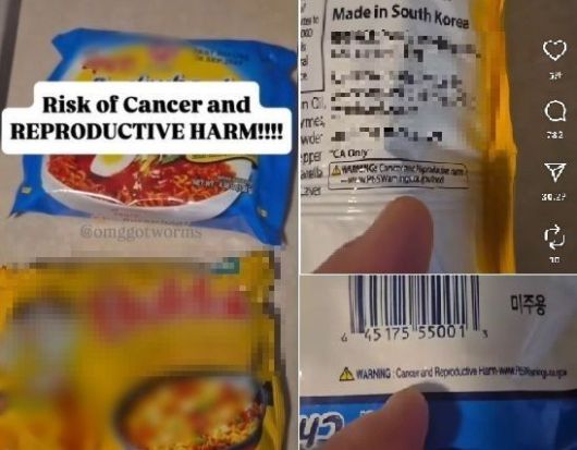 해외에서 판매되는 한국산 라면 포장 뒷면의 ‘암과 생식기능 장애’ 경고문이 논란이 되고 있다. 출처=인스타그램