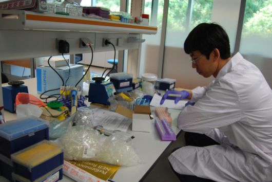 에이비엘바이오 연구원이 신약 개발을 위한 연구를 하고 있다.(에이비엘바이오 제공)/사진=뉴스1