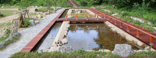 국립한국자생식물원에 조성된 옹달샘정원