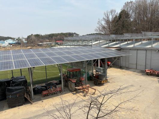 경기 여주시 구양리 '태양광 마을' 내 설치된 태양광 시설 주민참여재생에너지운동본부 제공