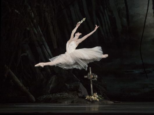 영국로열발레 공연사진. 지젤_나탈리아 오시포바. LG아트센터 제공