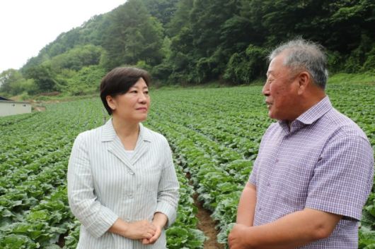 송미령 농림축산식품부 장관(왼쪽)이 6일 강원 평창군 여름배추 재배지와 출하조절시설을 방문해 생육 현황을 점검하고, 현장 관계자들과 대응 방안을 논의했다. 농식품부 제공