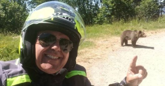 루마니아에서 지난 4일 곰에게 먹이를 주다가 살해된 이탈리아 남성 오마르 파랑 진. 죽기직전 핸드폰에 남겨진 곰 사진 가운데 하나이다. 뉴스1