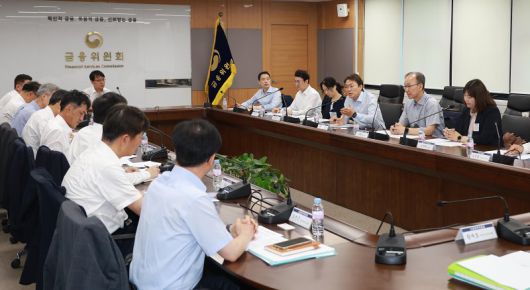 금융위원회는 11일 권대영 사무처장 주재로 정부서울청사에서 장기 연체채권 채무조정 프로그램 점검을 위한 전문가 간담회를 개최했다. (사진=금융위원회 제공) photo@newsis.com *재판매 및 DB 금지 /사진=뉴시스