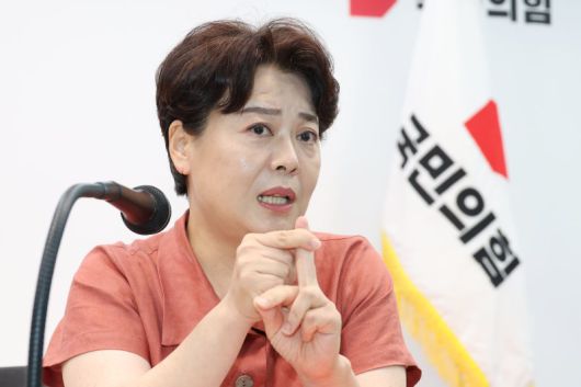 윤희숙 국민의힘 혁신위원장이 13일 오후 서울 여의도 당사에서 기자간담회를 하고 있다. 사진=뉴스1