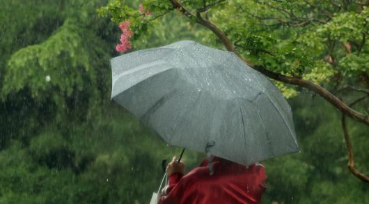 비가 내린 16일 전북 전주시 전북대학교 캠퍼스에서 우산을 쓴 시민들이 발걸음을 재촉하고 있다. 뉴스1