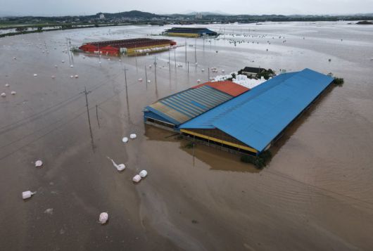 17일 충남 예산군 고덕면 일대가 집중호우에 침수돼 있다. 2025.7.17/뉴스1 ⓒ News1 김기태 기자 /사진=뉴스1