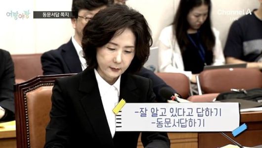 이진숙 부총리 겸 교육부 장관 인사청문회. 출처=채널A 방송화면