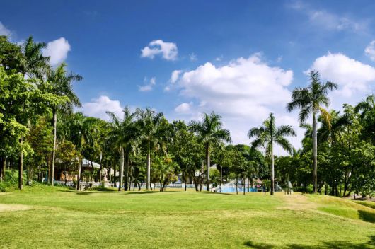 ㈜훼미리가 본격적인 운영에 나서는 클락 엥헬레스 시내에 있는 '로얄가든' 골프장 ㈜훼미리 제공                                      오는 11월 시범 라운드를 준비하기 위해 관계자들과 현장을 둘러보고 있는 정일수 회장(가운데).