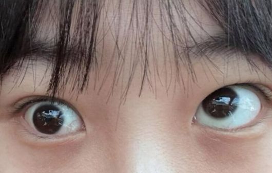 /사진=사건반장