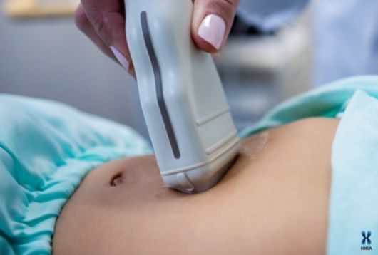 담낭(쓸개)은 간에서 생성된 담즙을 저장해 두었다가 필요할 때마다 분비하며 소화를 돕는다. 식습관의 서구화와 복부 초음파 검사 등 건강검진의 영향으로 관련 질환이 증가하고 있다. (사진= 건강보험심사평가원 제공)