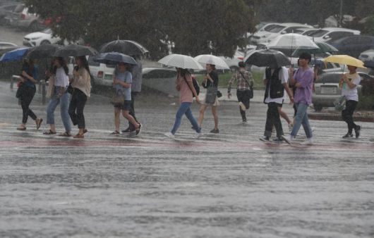 뉴스1                                    뉴스1