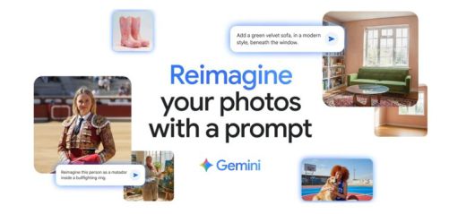 구글은 이미지 생성 AI '나노 바나나'를 최근 '제미나이'에 통합시켰다. 나노 바나나를 이용해 합성된 다양한 이미지(맨위 사진)와 사용자가 여성의 이미지와 리트리버의 이미지를 합쳐 "여성이 농구 코트에서 개를 안고 있는 이미지를 만들어달라"고 입력한 프롬프트 화면(가운데). 제미나이가 프롬프트를 받아들여 만든 합성 이미지(맨밑 사진) 구글 제공