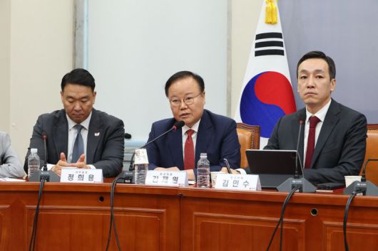 국민의힘 김재원 최고위원이 11일 서울 여의도 국회에서 열린 최고위원회의에서 발언하고 있다. 사진=박범준 기자