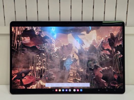 3D마크 와일드 라이프 익스트림 스트레스 테스트로 갤럭시 탭 S11 울트라 성능을 실험하는 모습. 사진=구자윤 기자