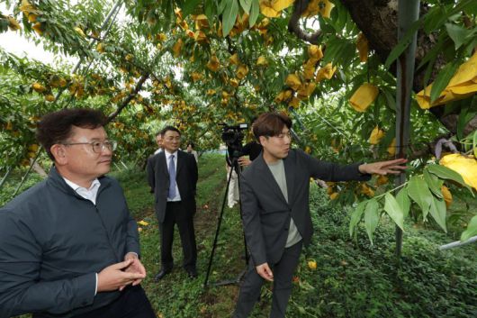 이승돈 농촌진흥청장은 18일 경북 영천시 대창면 복숭아 농장에서 청년농을 만나고 있다. 농진청 제공