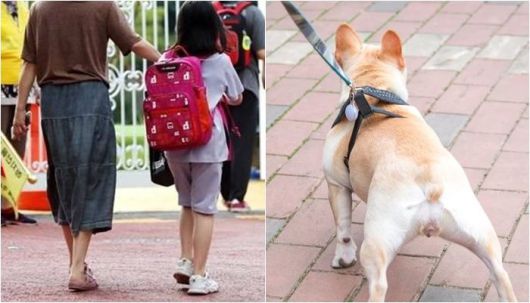 본문 내용과 무관 / 사진=연합뉴스, 뉴스1