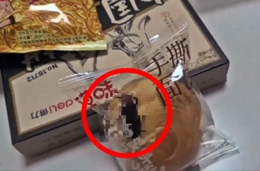 중국의 한 소비자가 온라인에서 구매한 포장 빵 안에서 살아 있는 바퀴벌레가 나왔다고 주장해 논란이다. 사진=SNS