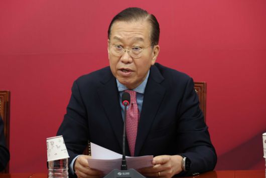 권영세 국민의힘 의원 /사진=뉴시스