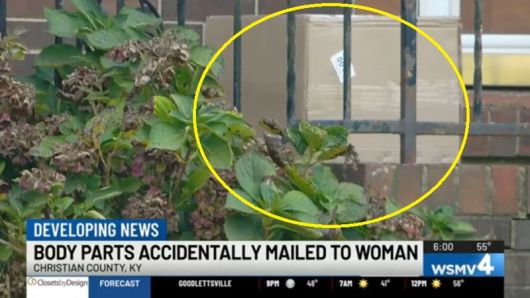 절단된 사람의 신체가 담긴 택배가 배달됐다. WSMV4내슈빌 보도 캡처, 연합뉴스