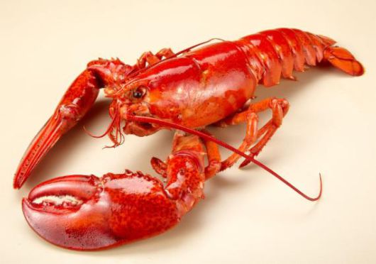 /사진=파이낸셜뉴스 사진DB