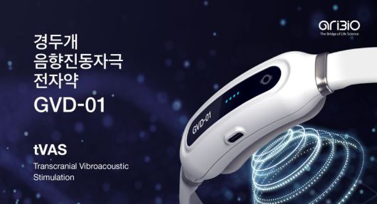 아리바이오 경두개음향진동자극 전자약 GVD-01. 아리바이오 제공