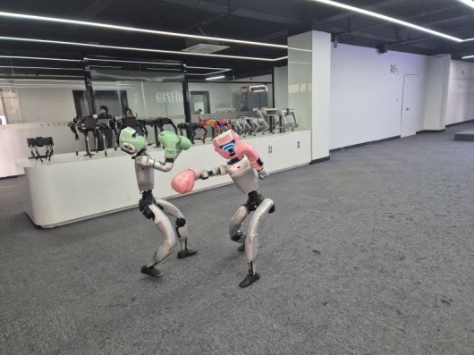 중국 항저우 유니트리 본사 쇼룸에서 복싱 장갑과 헤드기어를 착용한 두 대의 유니트리 휴머노이드 로봇이 복싱 경기를 하고 있다.