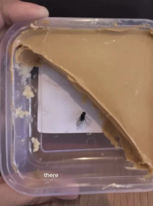 AI로 조작한 음식 사진으로 환불을 요구하는 사례가 늘고 있다. 사진은 AI를 활용해 디저트에 벌레 이미지를 합성해 조작했다./사진=더타임스