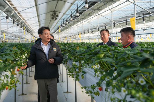 김진태 강원도지사가 7일 양구군에 위치한 시설원예 농가를 방문해 한파와 폭설 대비 상황을 집중 점검했다. 강원자치도 제공