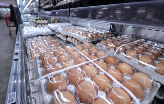 7일 서울의 한 대형마트에 계란이 진열돼 있다. 뉴스1