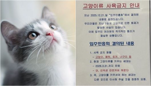 /사진=게티이미지뱅크, SNS