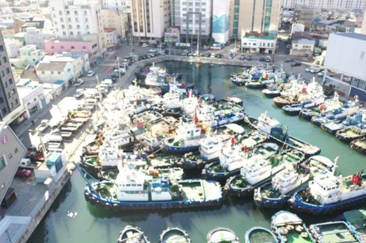 부산항 북항 대교동 호안 예부산 게류지 전경. 부산항만공사 제공