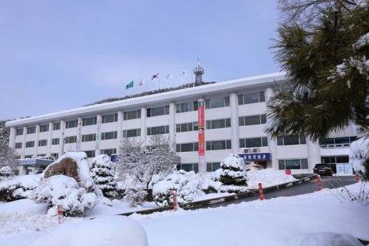 인제군청사 전경. 인제군 제공