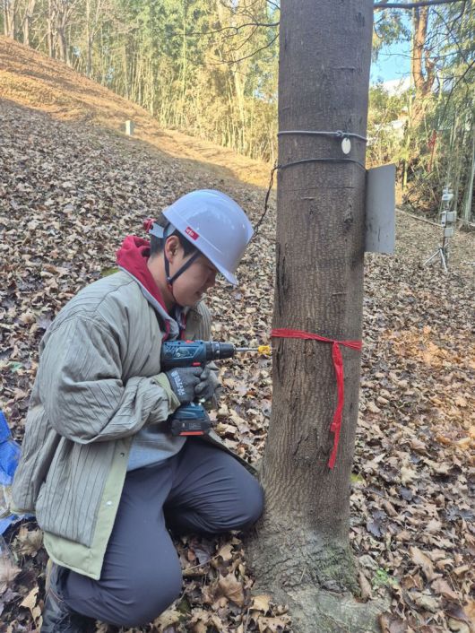 국립산림과학원 진주산림과학연구시험림 관계자가 고로쇠 수액 채취 작업을 하고 있다.