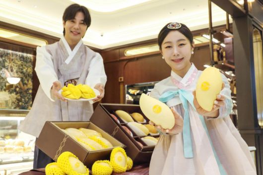 모델이 망고 선물 세트를 홍보하고 있다. 신세계백화점 제공