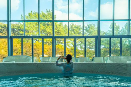 온수가 나오는 제주 WE호텔 실내 수영장                                  WE호텔에서 진행하는 힐링 포레스트 프로그램                                  WE호텔에서 맛볼 수 있는 한식 코스