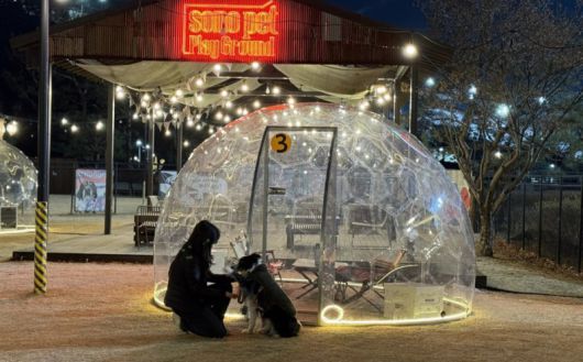 소노펫클럽 '윈터 돔 빌리지'. 소노인터내셔널 제공
