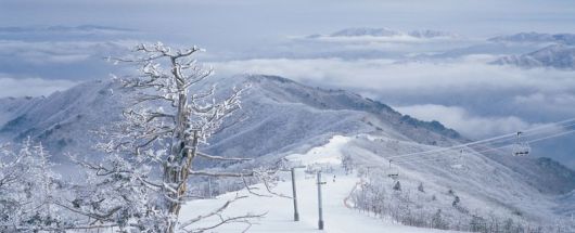 무주덕유산리조트 설천봉 슬로프 전경. 부영그룹 제공