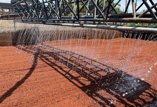 코코피트 배지의 염분 제거 및 품질 안정화 공정. STX 제공