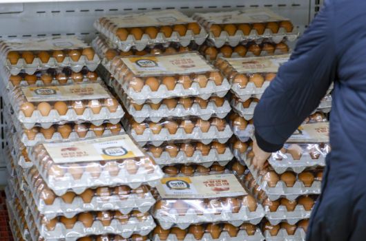 서울 서초구 하나로마트 양재점을 찾은 시민들이 계란을 살펴보고 있다. 뉴시스