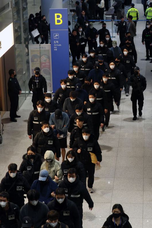 캄보디아에서 스캠(scam·사기), 인질강도 등 범행을 저지른 한국인 범죄 조직원들이 23일 인천국제공항을 통해 국내로 송환돼 수사기관으로 압송되고 있다. 사진=서동일 기자