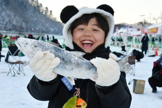 산천어축제서 잡은 물고기를 들고 기뻐하는 어린이                                  축구장 40개 크기로 조성된 산천어축제 얼음낚시터