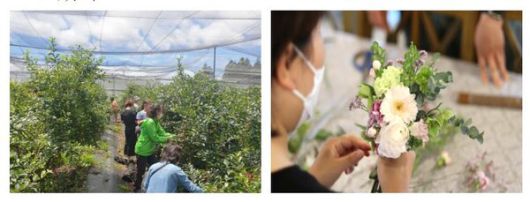 폴개 협동조합에서 진행하는 블루베리 수확과 꽃다발 만들기 체험