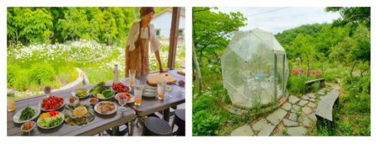 화순허브뜨락에서 맞는 점심 식사와 야외 지오돔