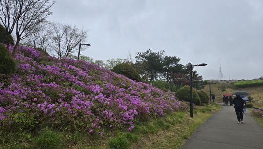 - 날씨는 좋지 않았지만 풍경은 아름다웠습니다